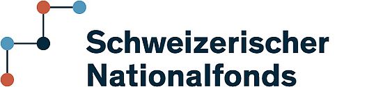 Logo SNF