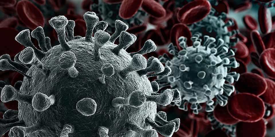 Coronavirus Moleküle